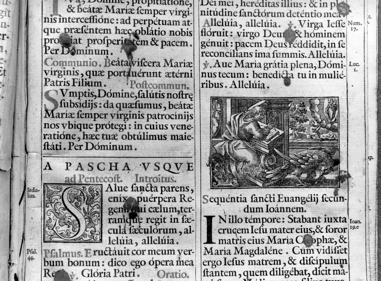 San Giovanni Evangelista (stampa, serie) - ambito italiano (seconda metà sec. XVIII)