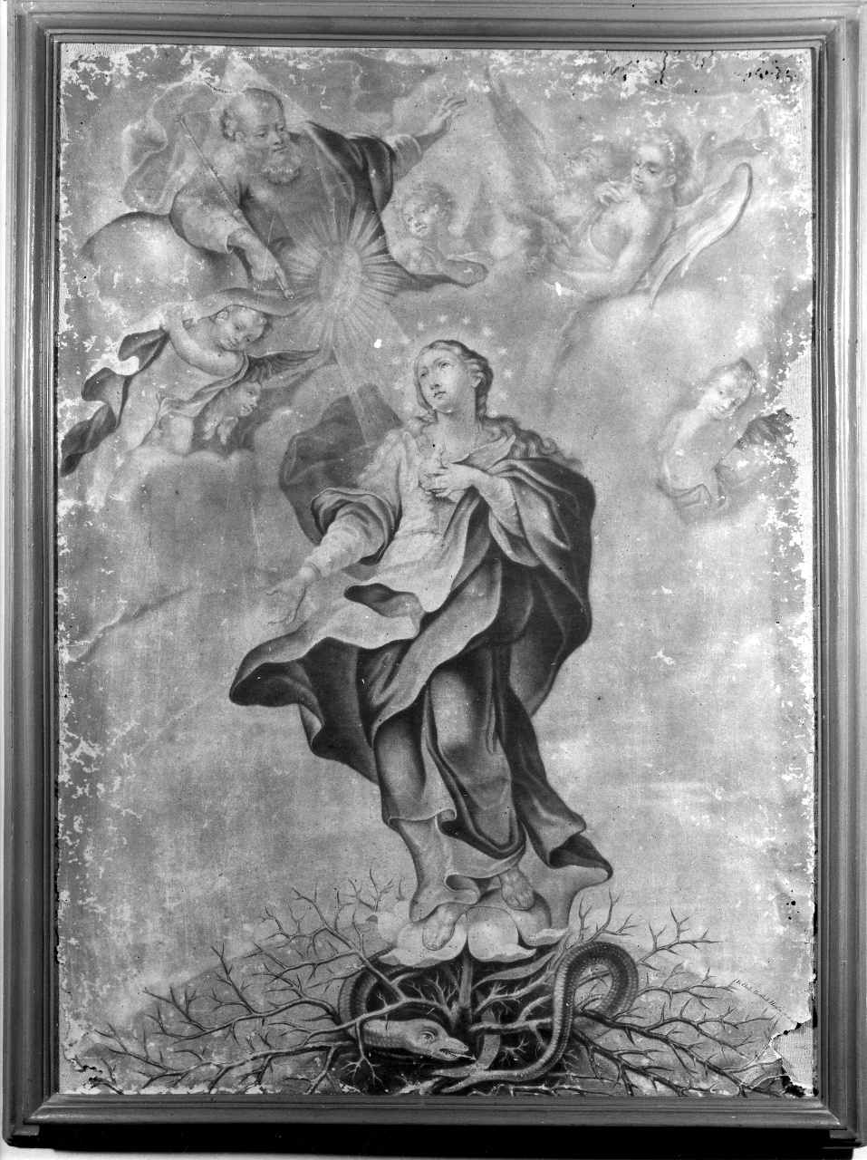 Madonna Immacolata (stampa) di Heiss Gottlieb (prima metà sec. XVIII)