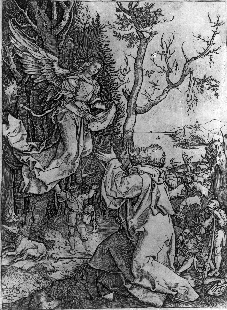 annuncio della nascita di Maria Vergine a San Gioacchino (stampa, serie) di Dürer Albrecht (primo quarto sec. XVI)