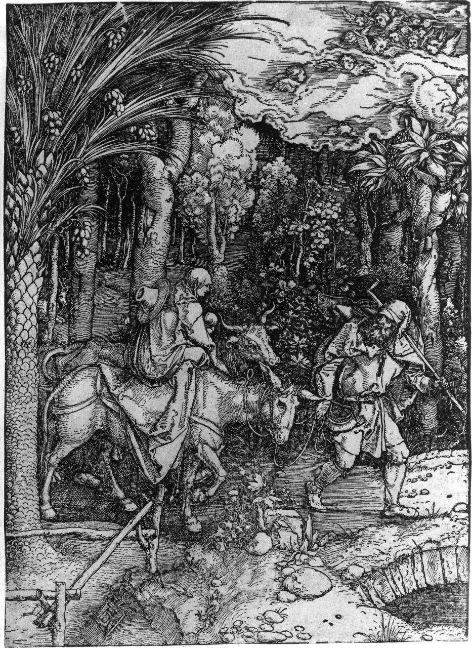 fuga in Egitto (stampa, serie) di Dürer Albrecht (primo quarto sec. XVI)