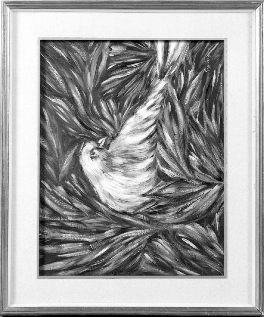 colomba (dipinto, opera isolata) di Supino Benaim Camilla (terzo quarto sec. XX)