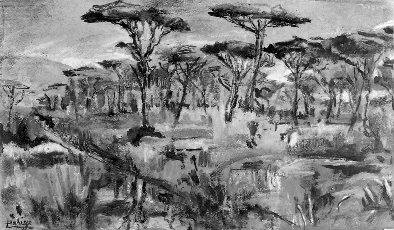 Pineta maremmana, paesaggio con alberi (dipinto, opera isolata) di Parigi Lucio (sec. XX)