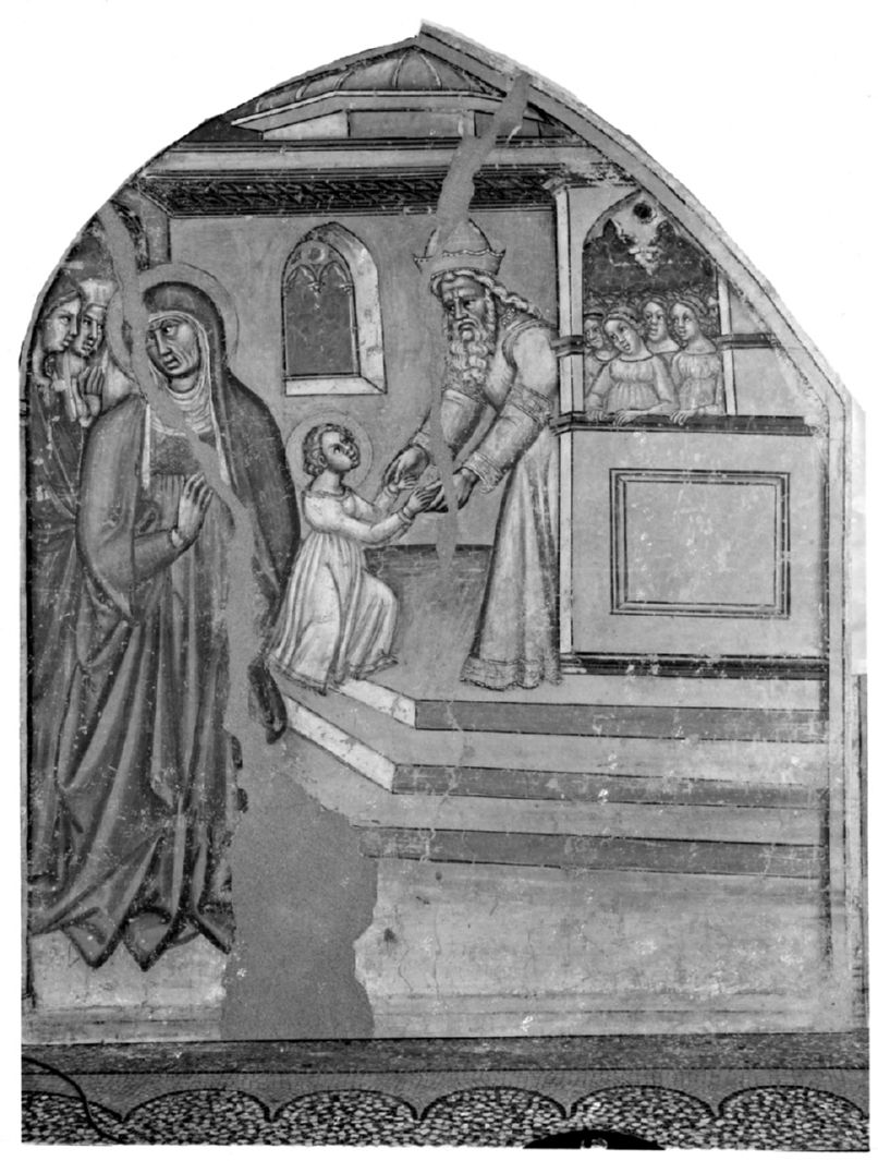 presentazione di Maria Vergine al tempio (dipinto, elemento d'insieme) di Cristoforo di Bindaccio detto Malarba, Meo di Pietro (sec. XIV)