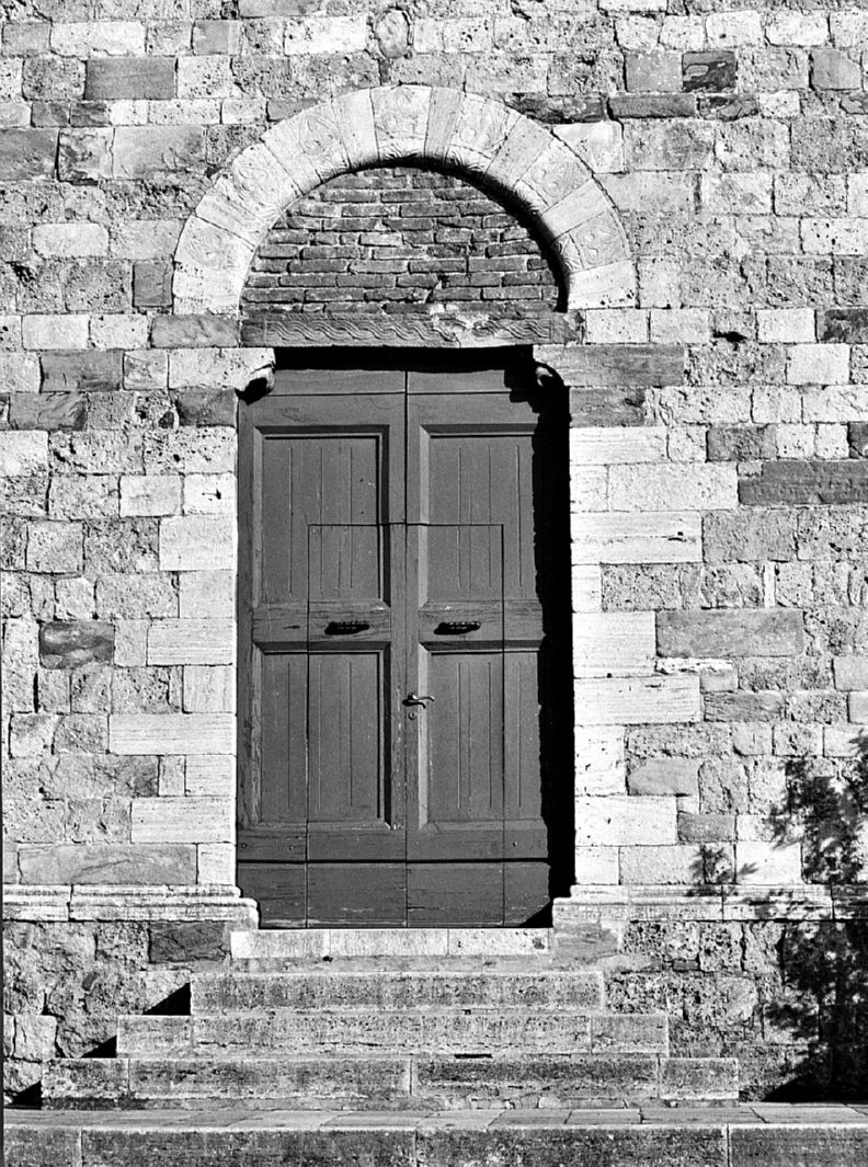 motivi decorativi vegetali stilizzati (rilievo, complesso decorativo) - ambito toscano, ambito toscano (sec. XII)