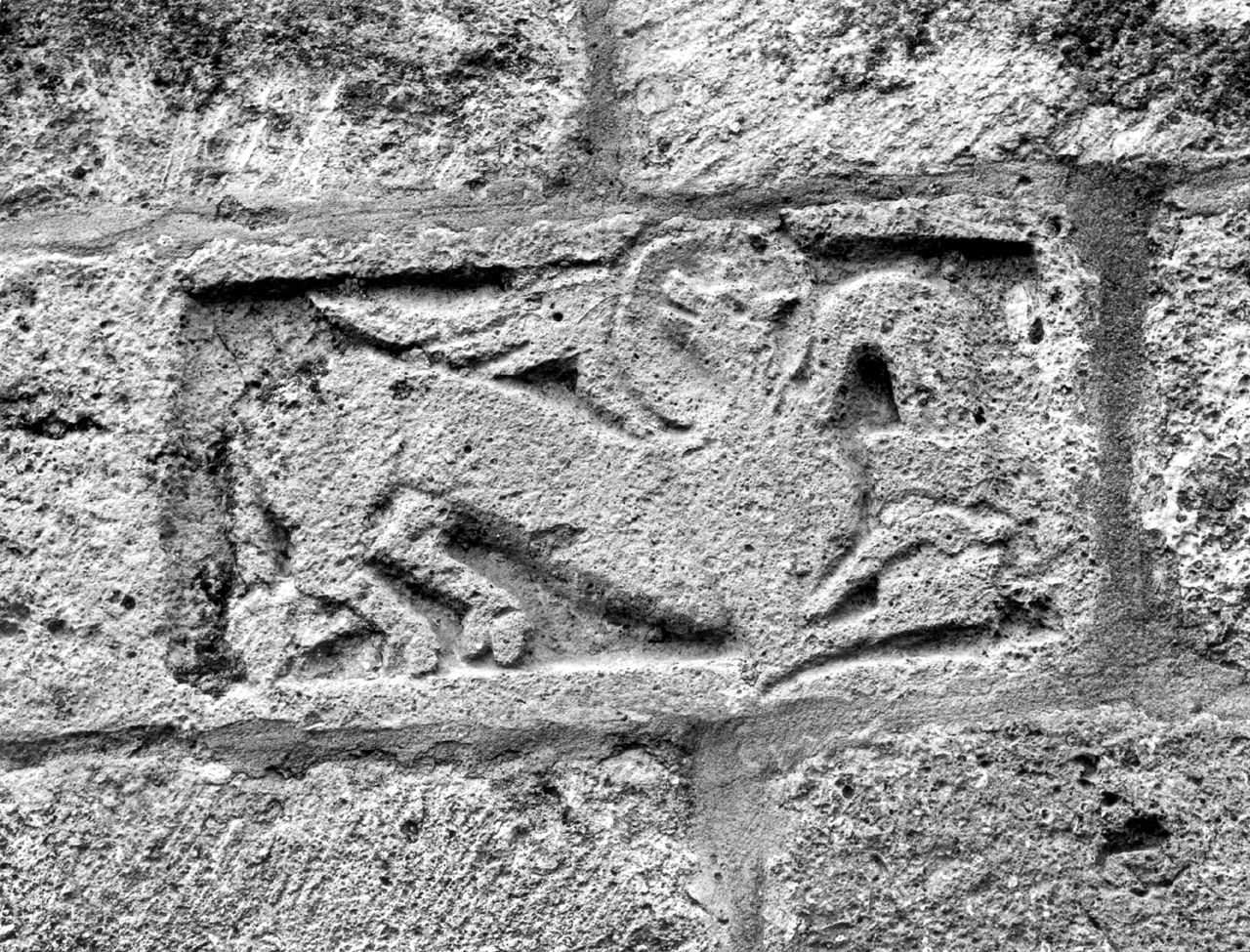 animale fantastico alato (rilievo) - ambito senese (secc. XI/ XII)