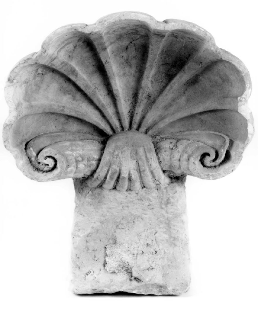 acquasantiera - a conchiglia, serie - bottega toscana (prima metà sec. XVII)