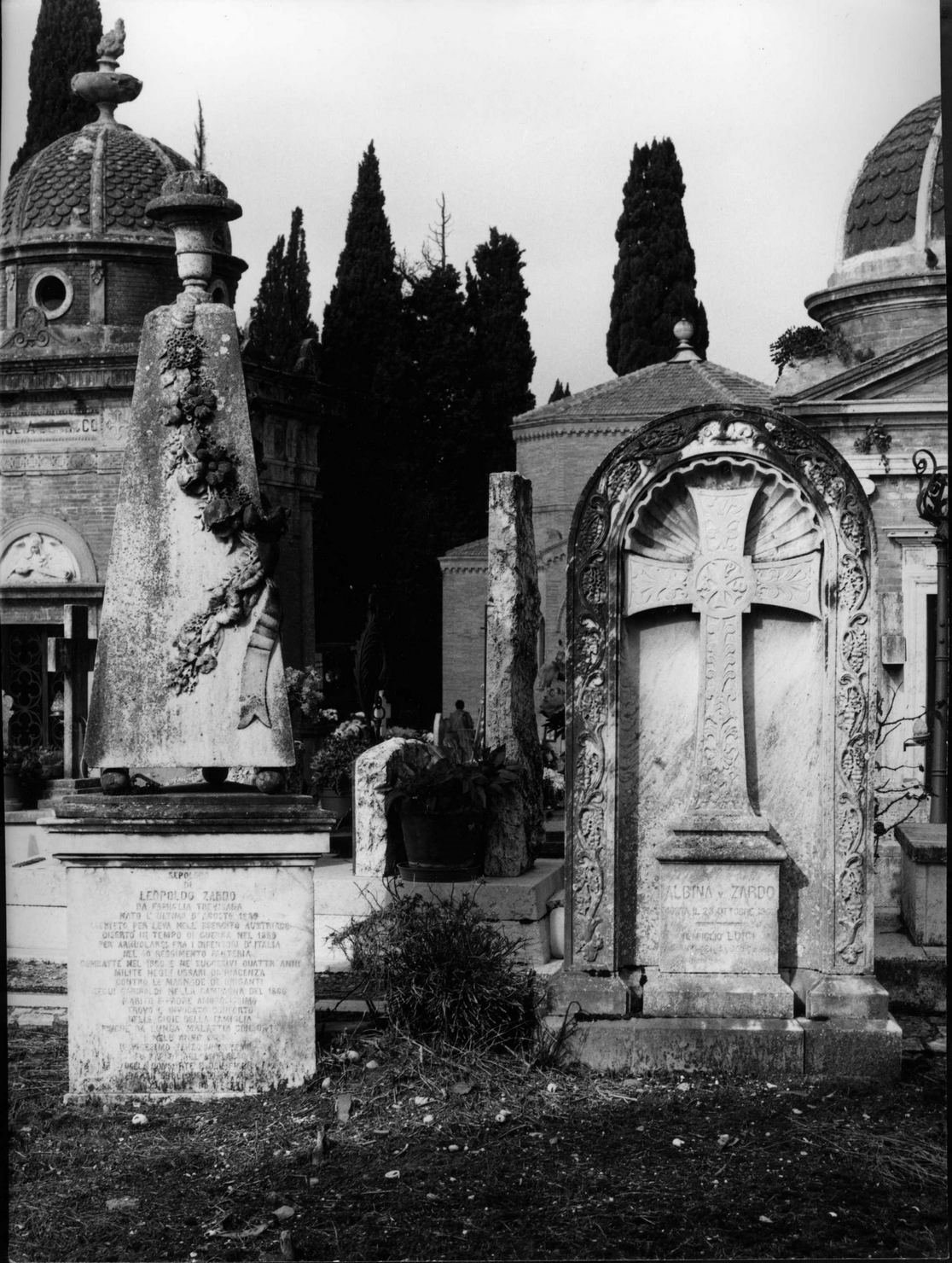 motivi decorativi a tralci di vite (monumento funebre) - bottega senese (sec. XX)