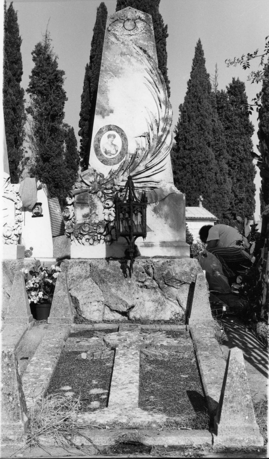 motivi decorativi vegetali (monumento funebre, serie) - bottega senese (sec. XX)