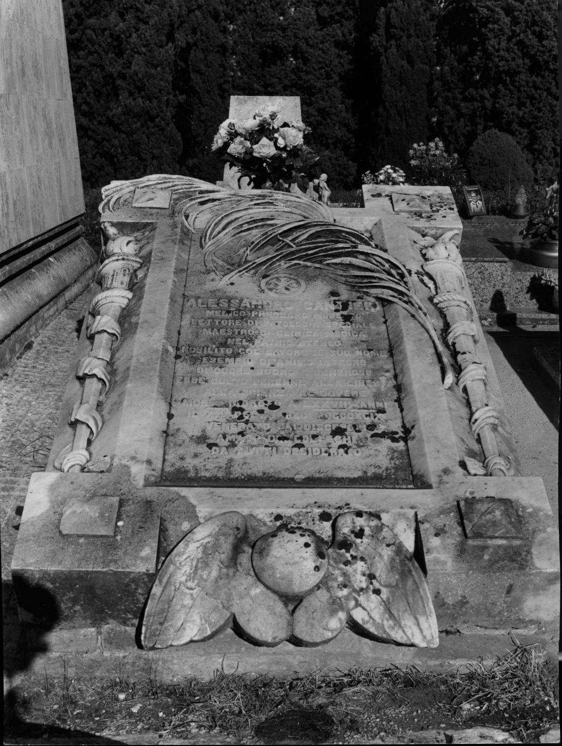 motivi decorativi vegetali (monumento funebre) - bottega senese (sec. XIX)