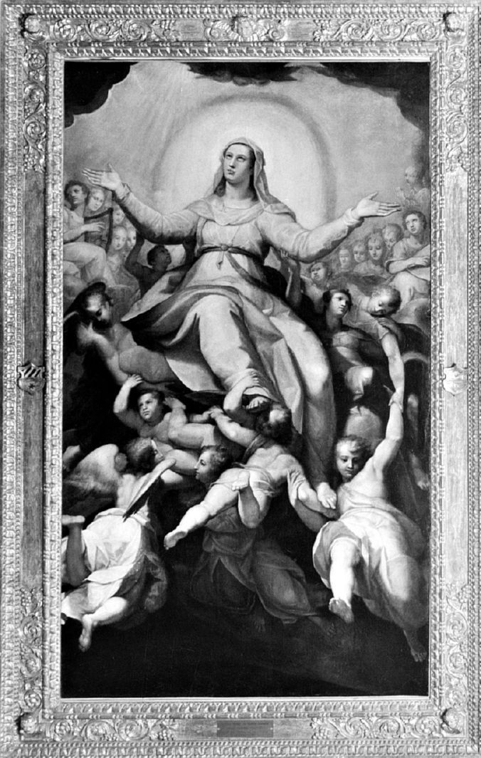 Madonna Assunta con angeli (dipinto) di Sabatini Lorenzo detto Lorenzino da Bologna (seconda metà sec. XVI)
