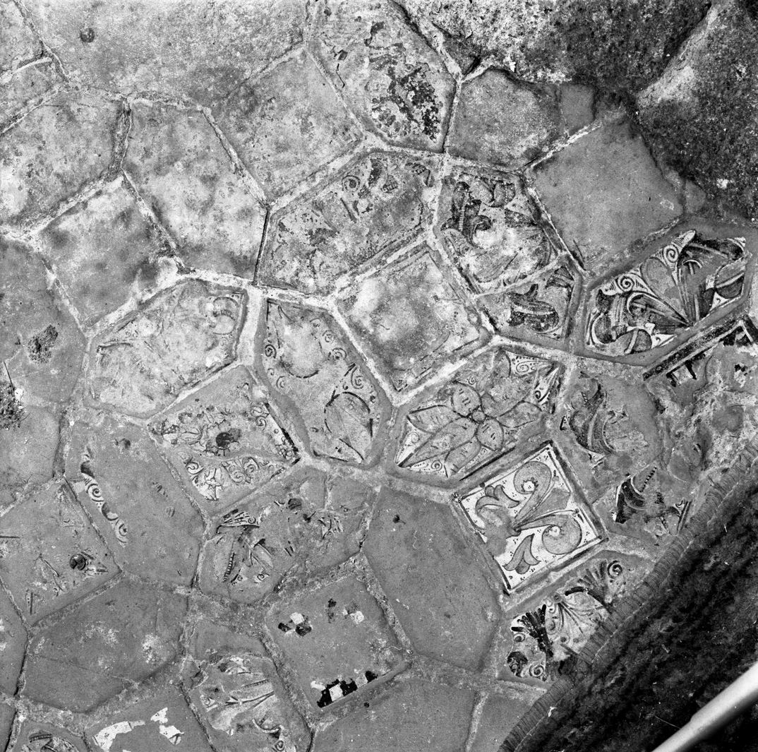 pavimento - manifattura Italia centrale (sec. XVI)