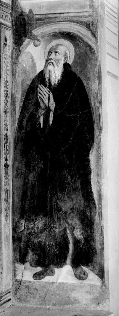 Sant'Antonio Abate (dipinto) di Tamagni Vincenzo (sec. XVI)