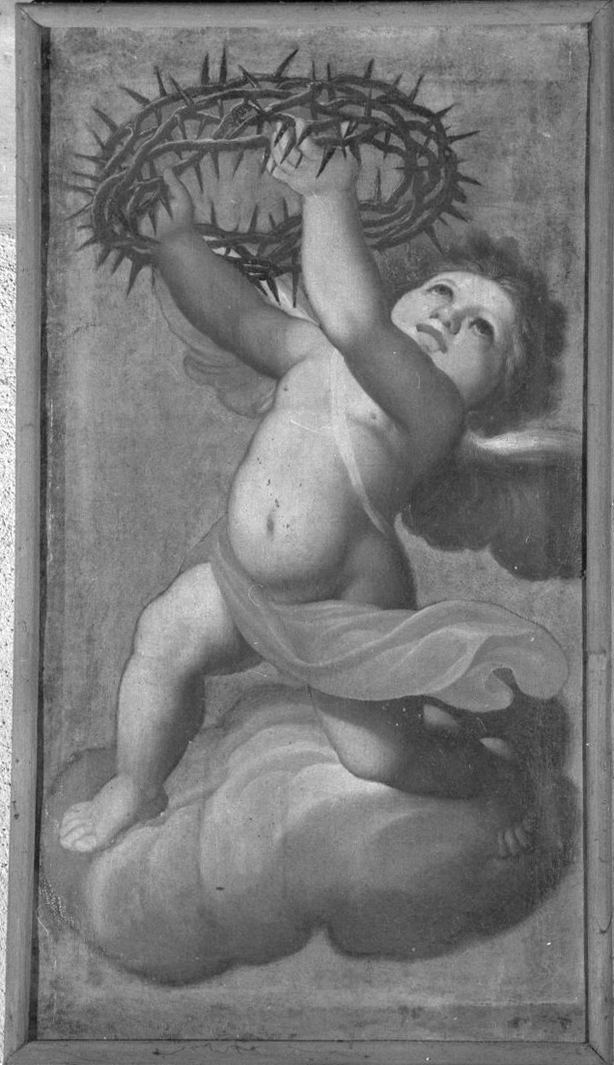 angelo con strumento della passione: corona di spine (dipinto) di Barbiani Bartolomeo (sec. XVII)