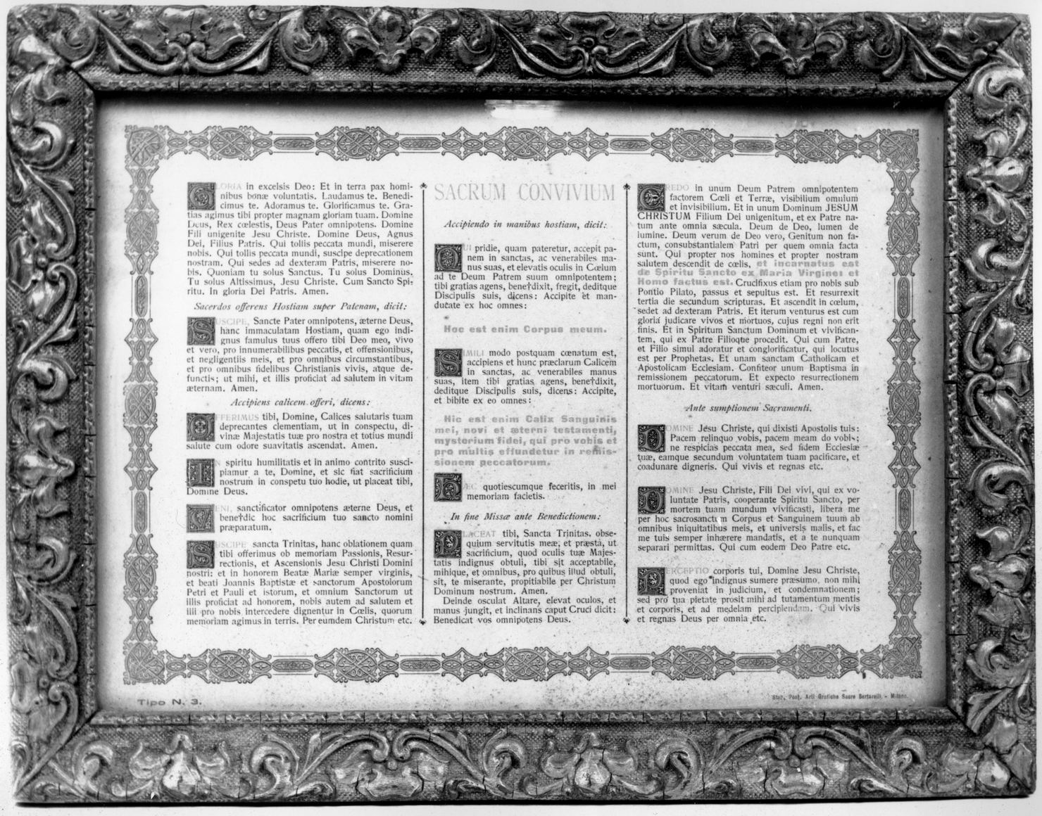 motivi decorativi floreali (cartagloria, serie) - manifattura toscana (fine/inizio secc. XIX/ XX)