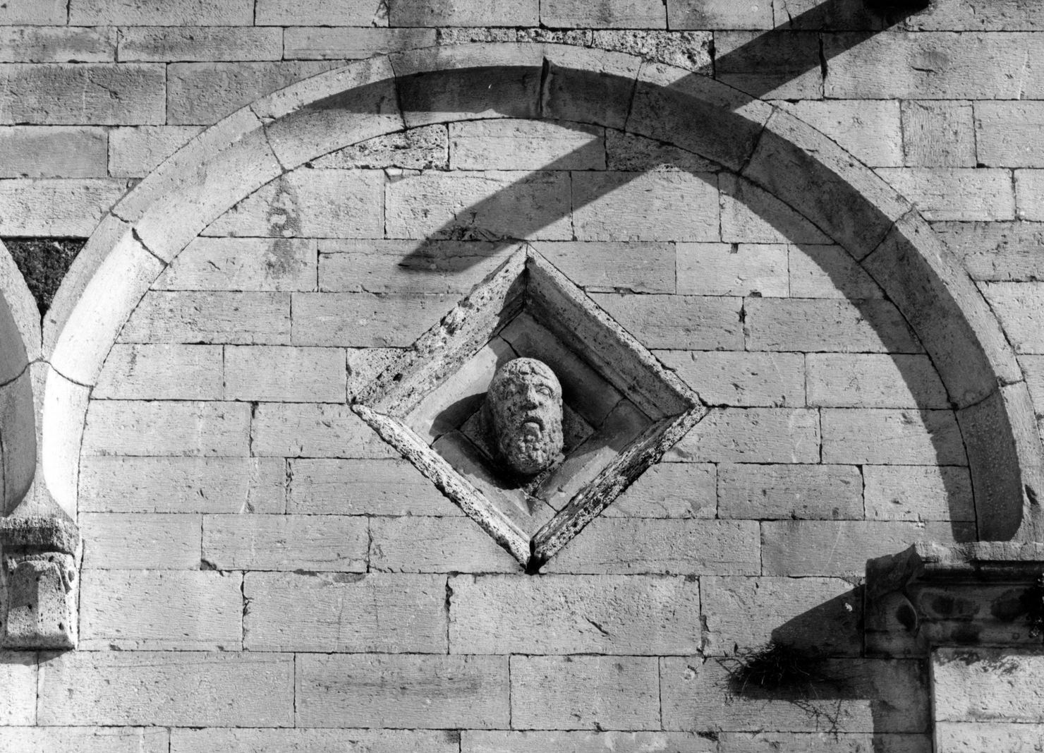 testa d'uomo (rilievo, opera isolata) - bottega senese (fine/inizio secc. X/ XI)