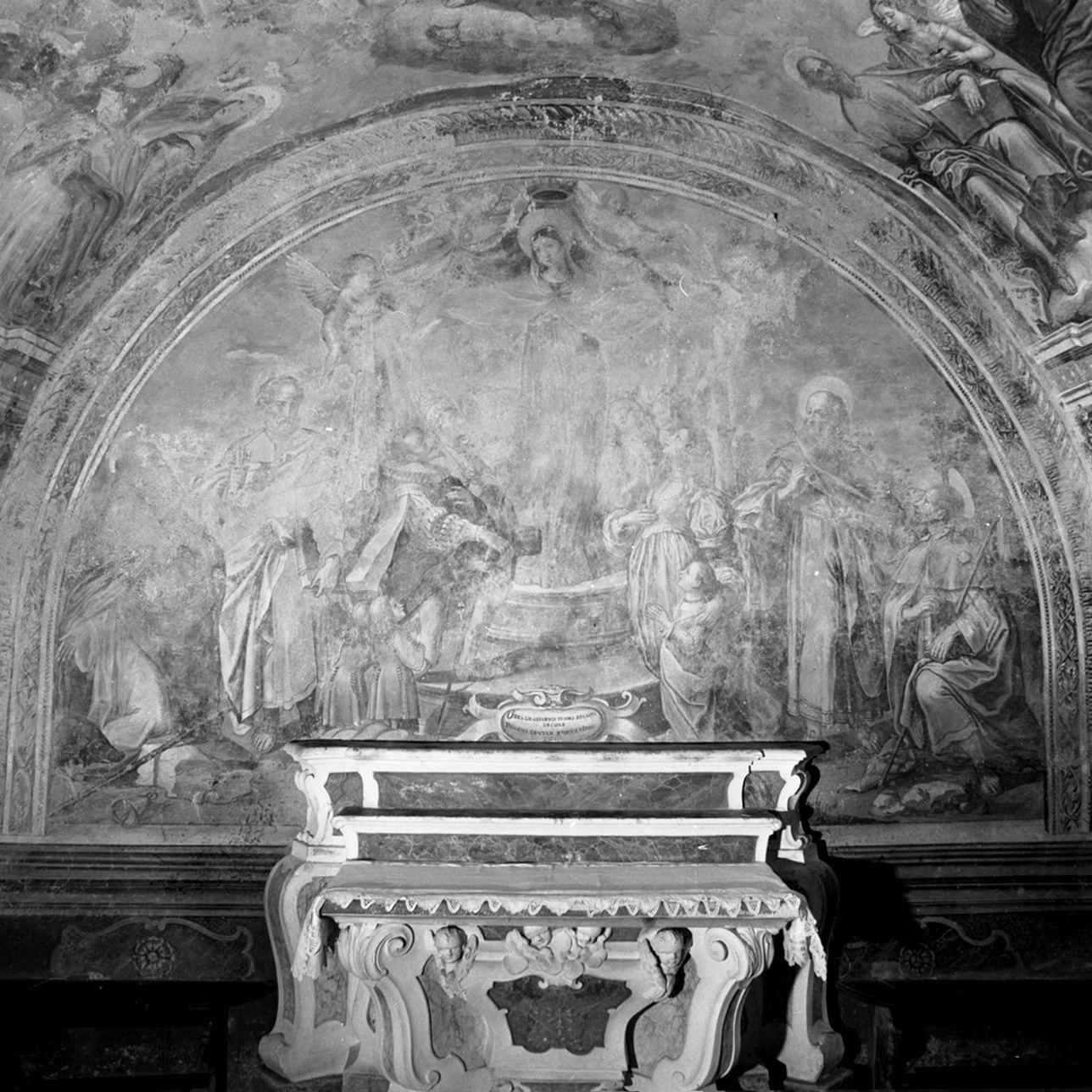 Madonna della Misericordia con committenti e Santi (dipinto) di Nasini Francesco (sec. XVII)