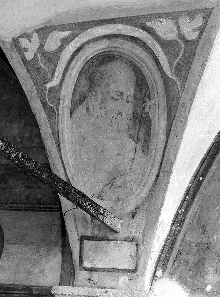 testa di santo (dipinto, elemento d'insieme) - ambito aretino (sec. XVII)