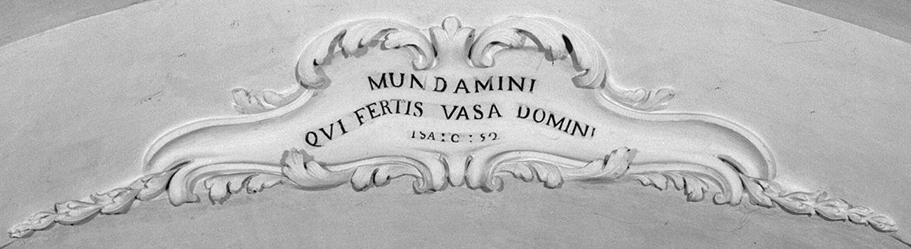 motivi decorativi vegetali (decorazione plastica, elemento d'insieme) di Pozzo Andrea (sec. XVIII)