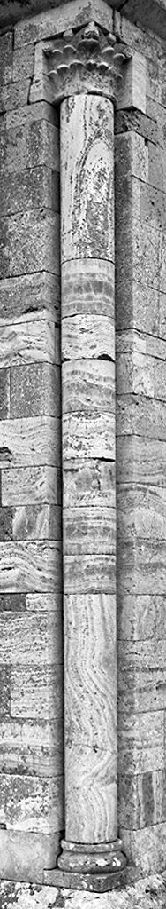 motivi decorativi vegetali stilizzati (capitello, serie) - ambito lombardo (sec. XII)