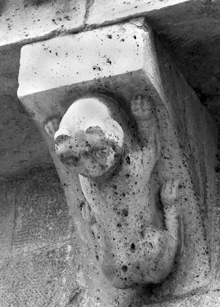 felino (mensola, elemento d'insieme) - ambito lombardo (sec. XII)