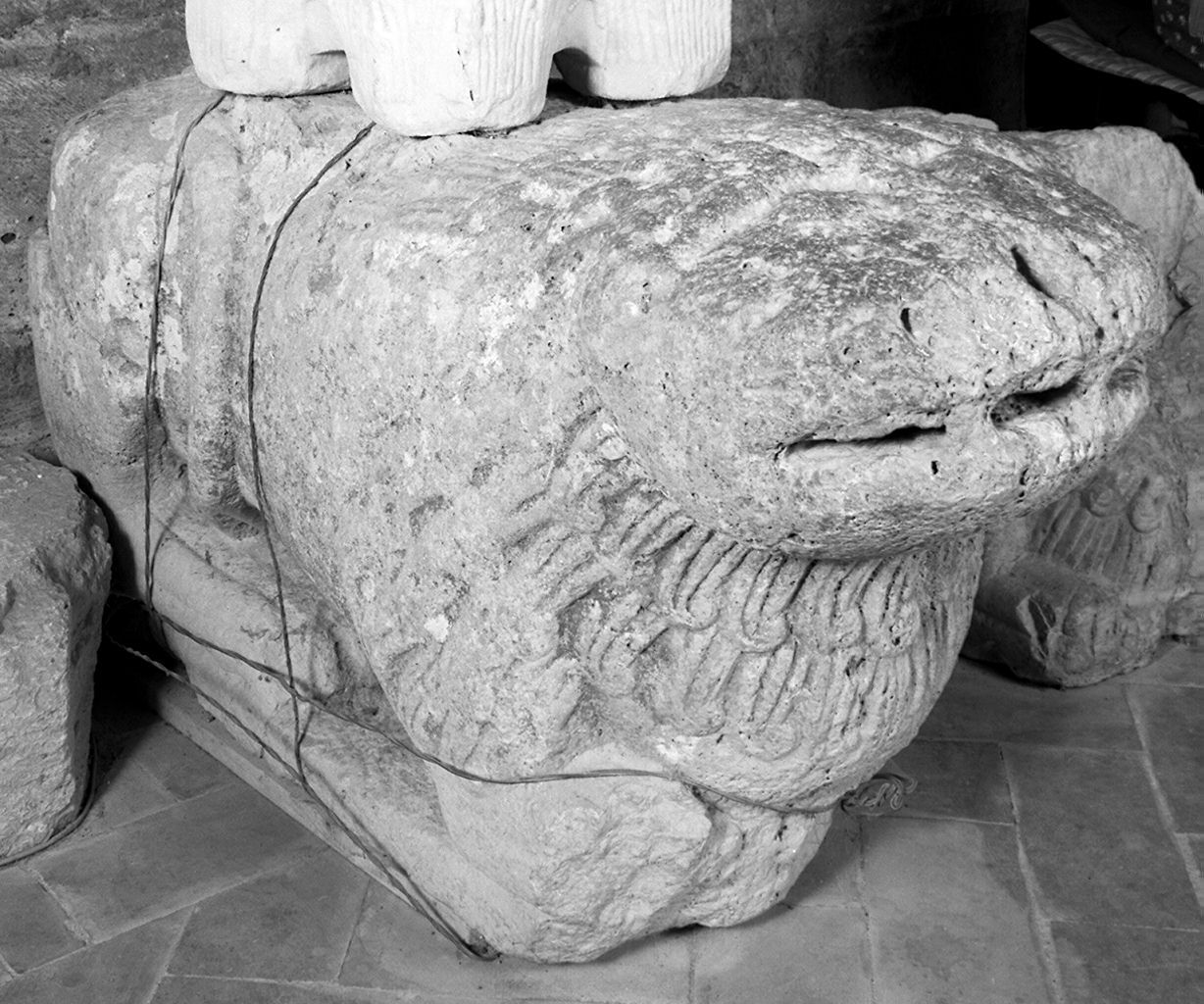 leone (scultura, elemento d'insieme) - ambito lombardo (sec. XII)