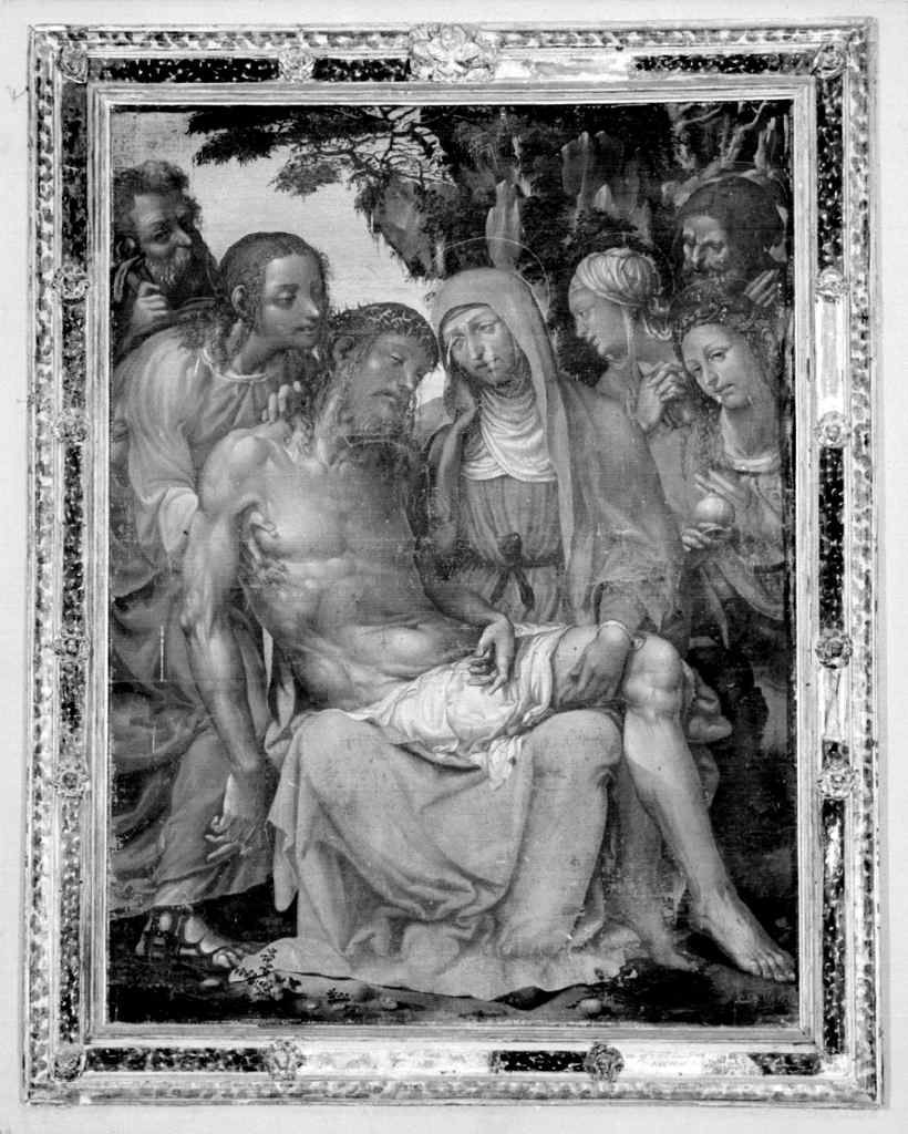 pietà (dipinto) di Bigio Marco (secondo quarto sec. XVI)