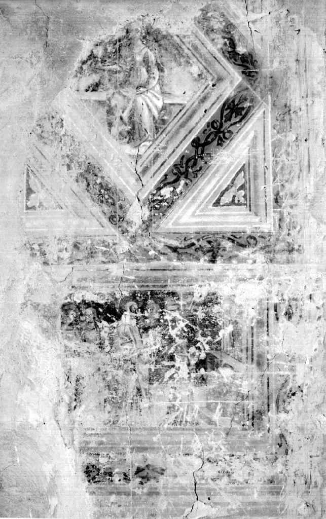 Fede tra motivi decorativi vegetali (dipinto, elemento d'insieme) di Tamagni Vincenzo (sec. XVI)