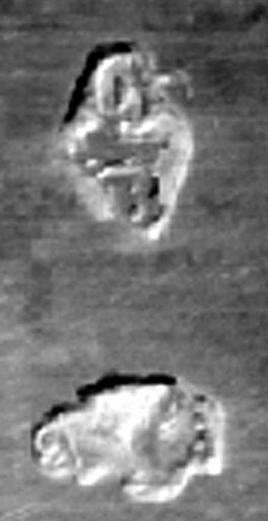 calice di Balbino Carlo (sec. XIX)