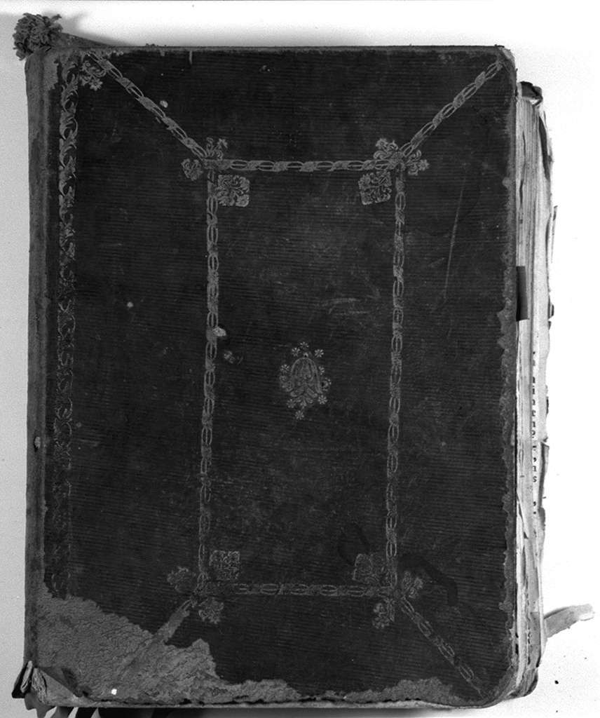 motivi decorativi vegetali (coperta di libro liturgico, elemento d'insieme) - bottega senese (sec. XVIII)