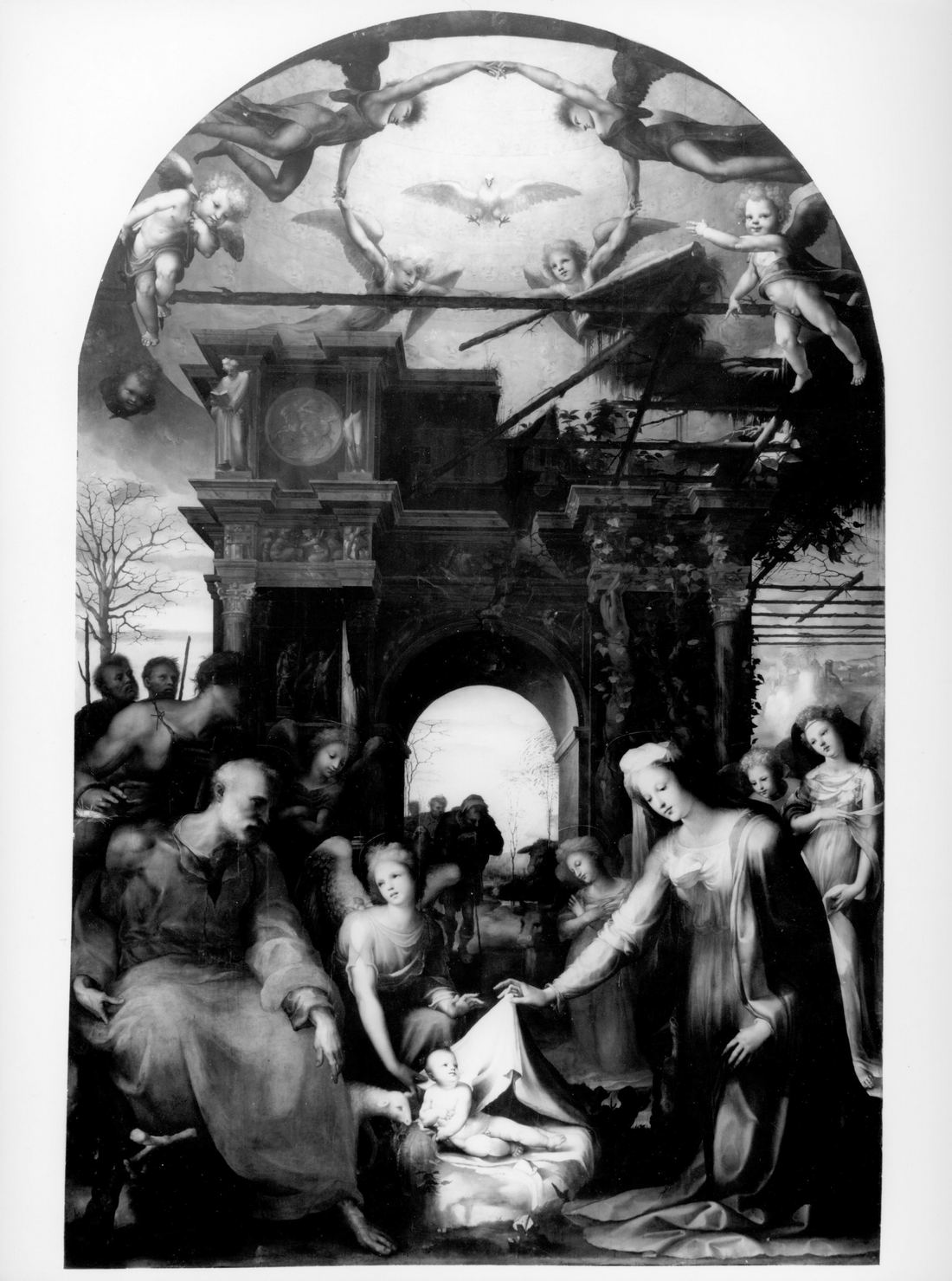 natività di Gesù (dipinto, elemento d'insieme) di Beccafumi Domenico detto Mecarino (sec. XVI)
