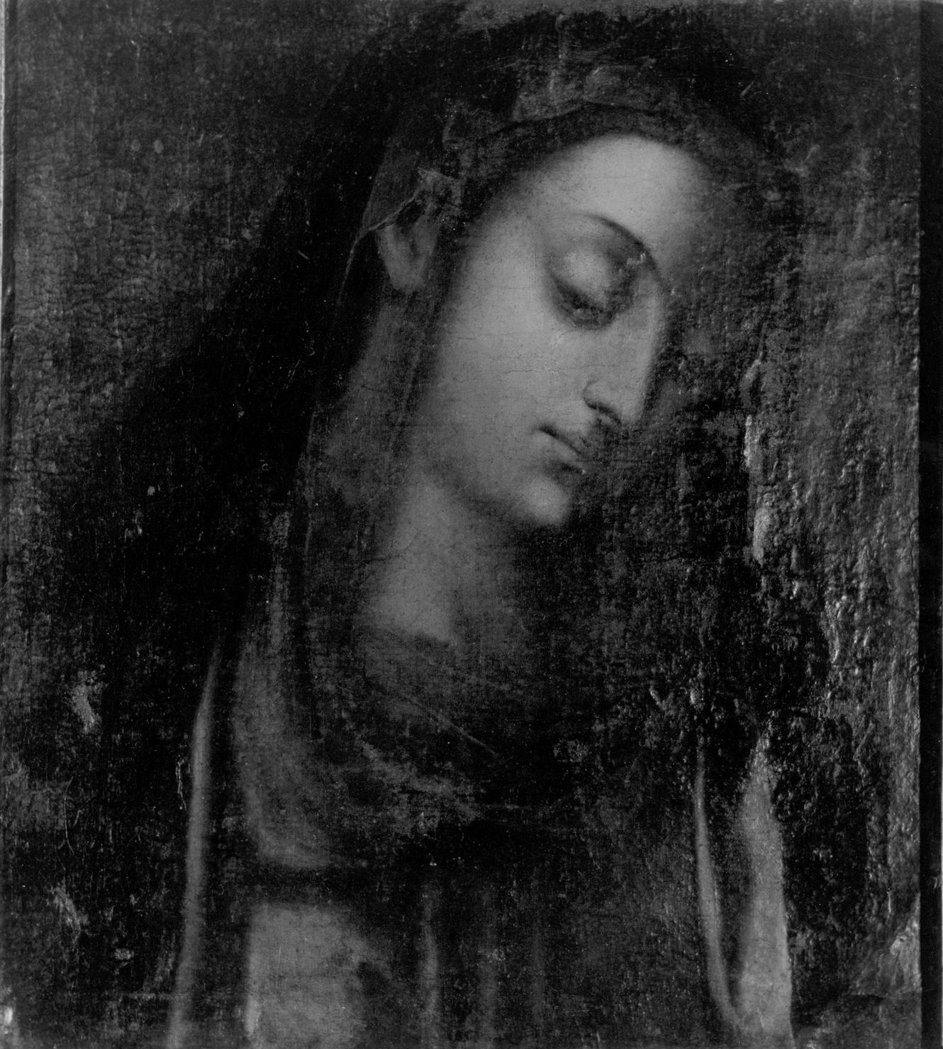 Madonna (dipinto) di Allori Alessandro (bottega) (primo quarto sec. XVII)