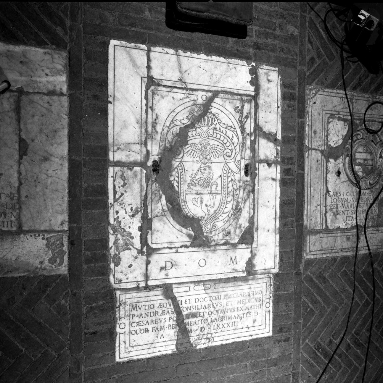 stemma gentilizio (lastra tombale) - bottega senese (sec. XVI)