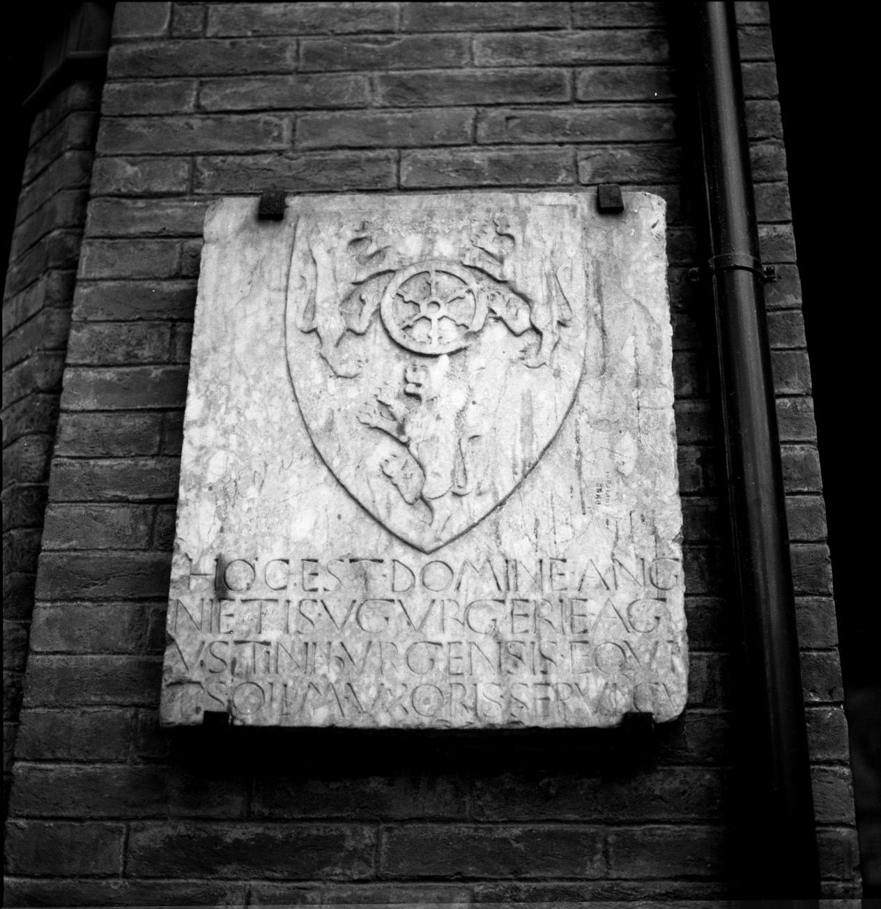 stemma gentilizio della famiglia Ugurgieri (lastra tombale) - bottega senese (sec. XVII)