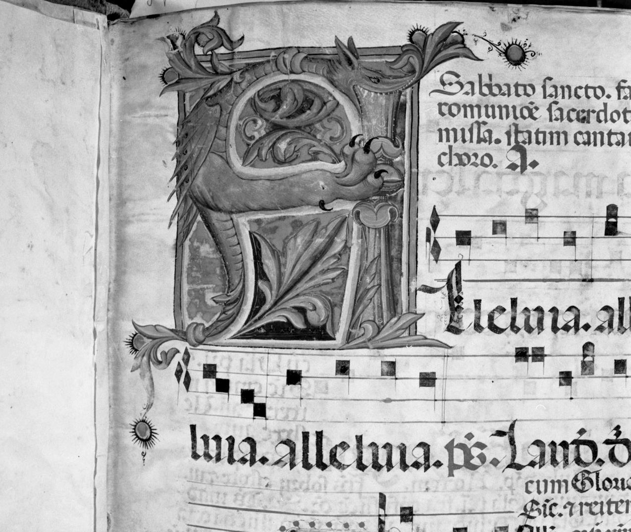 lettera vegetalizzata (miniatura, elemento d'insieme) - ambito senese, ambito senese (sec. XV, sec. XV)