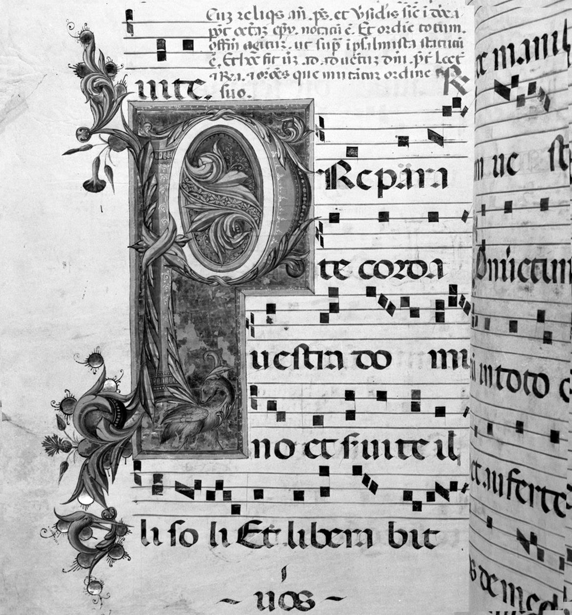 lettera vegetalizzata (miniatura, elemento d'insieme) - ambito senese, ambito senese (sec. XV, sec. XV)