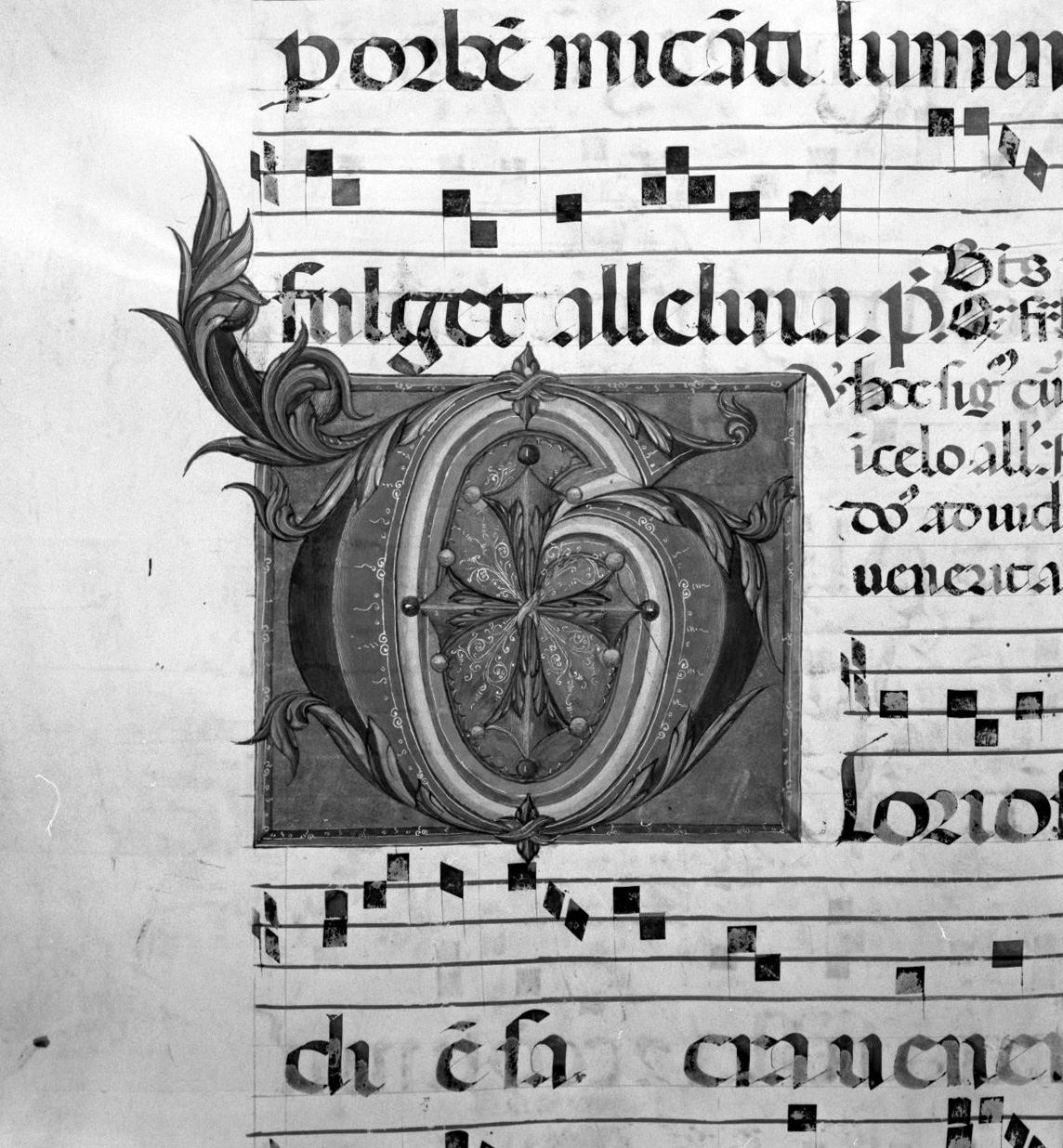 lettera vegetalizzata (miniatura, elemento d'insieme) - ambito senese, ambito senese (sec. XV, sec. XV)