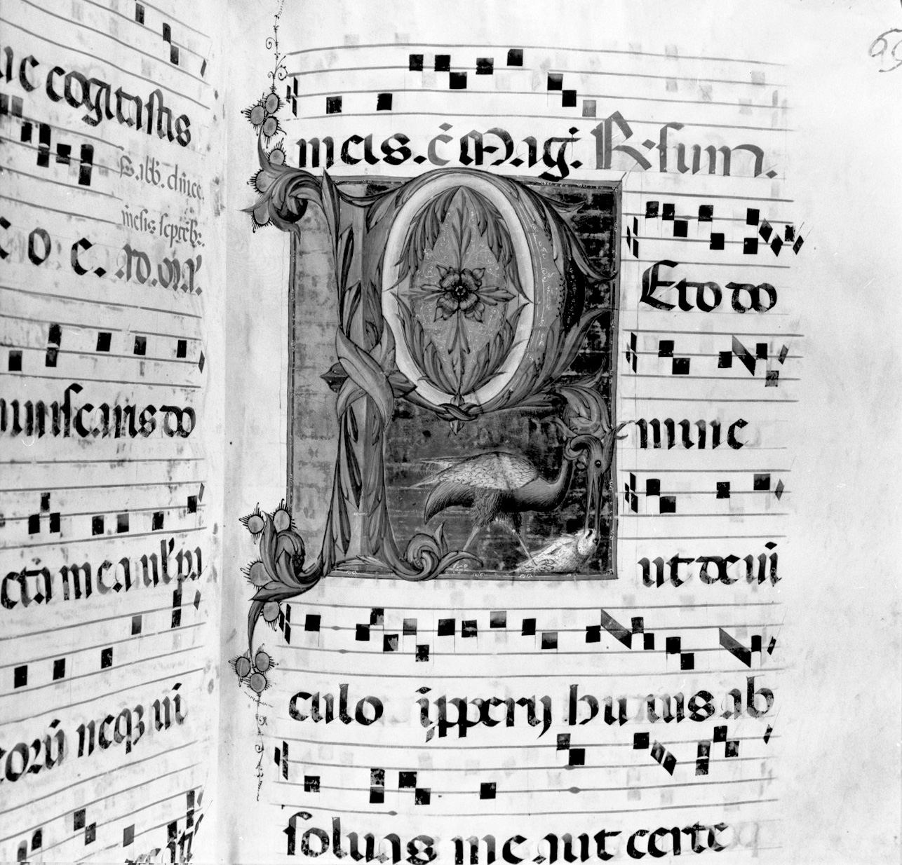 lettera vegetalizzata (miniatura, elemento d'insieme) - ambito senese, ambito senese (sec. XV, sec. XV)