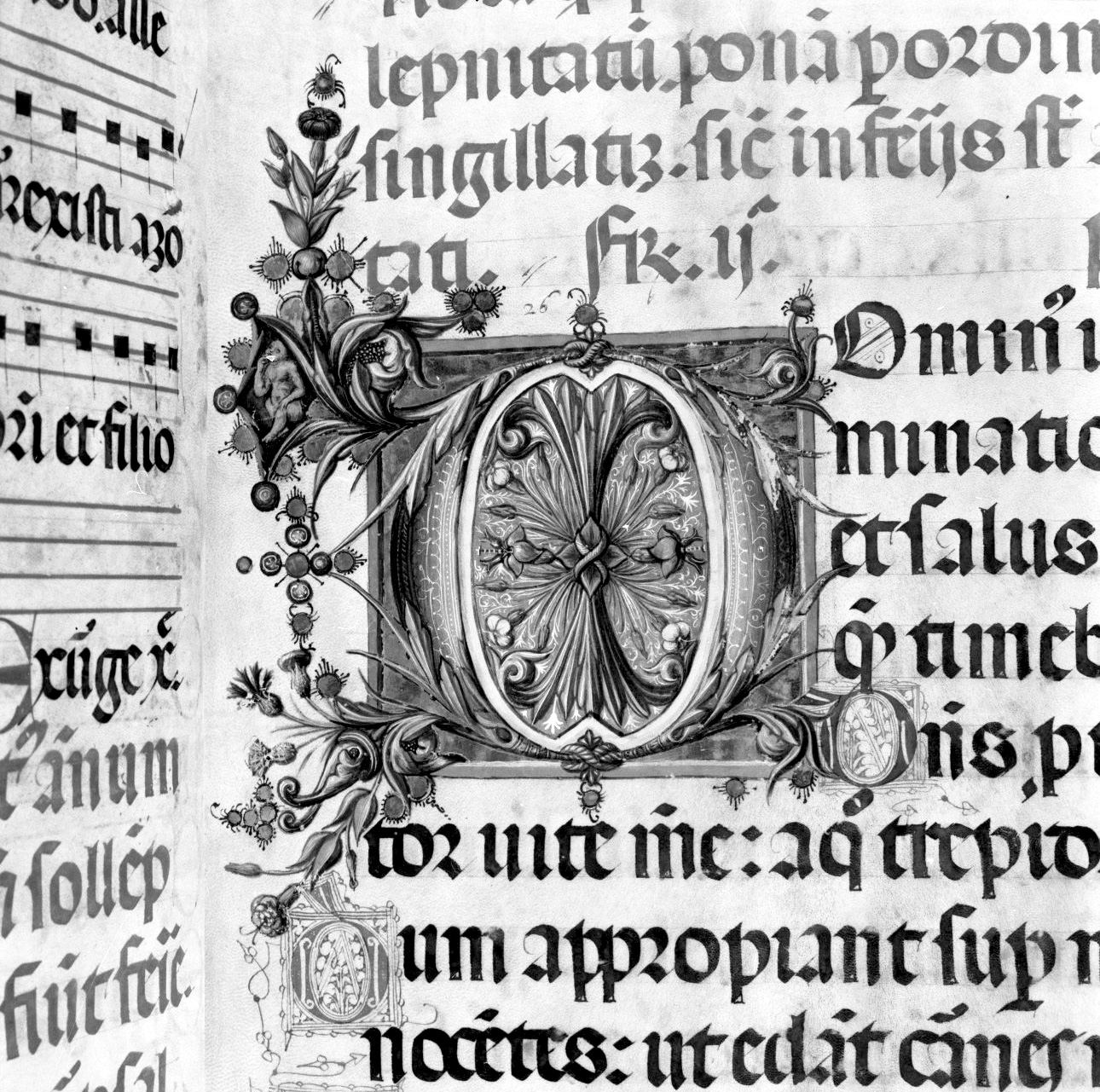 lettera vegetalizzata (miniatura, elemento d'insieme) di Matteo di Giovanni di Bartolo (attribuito) (sec. XV)
