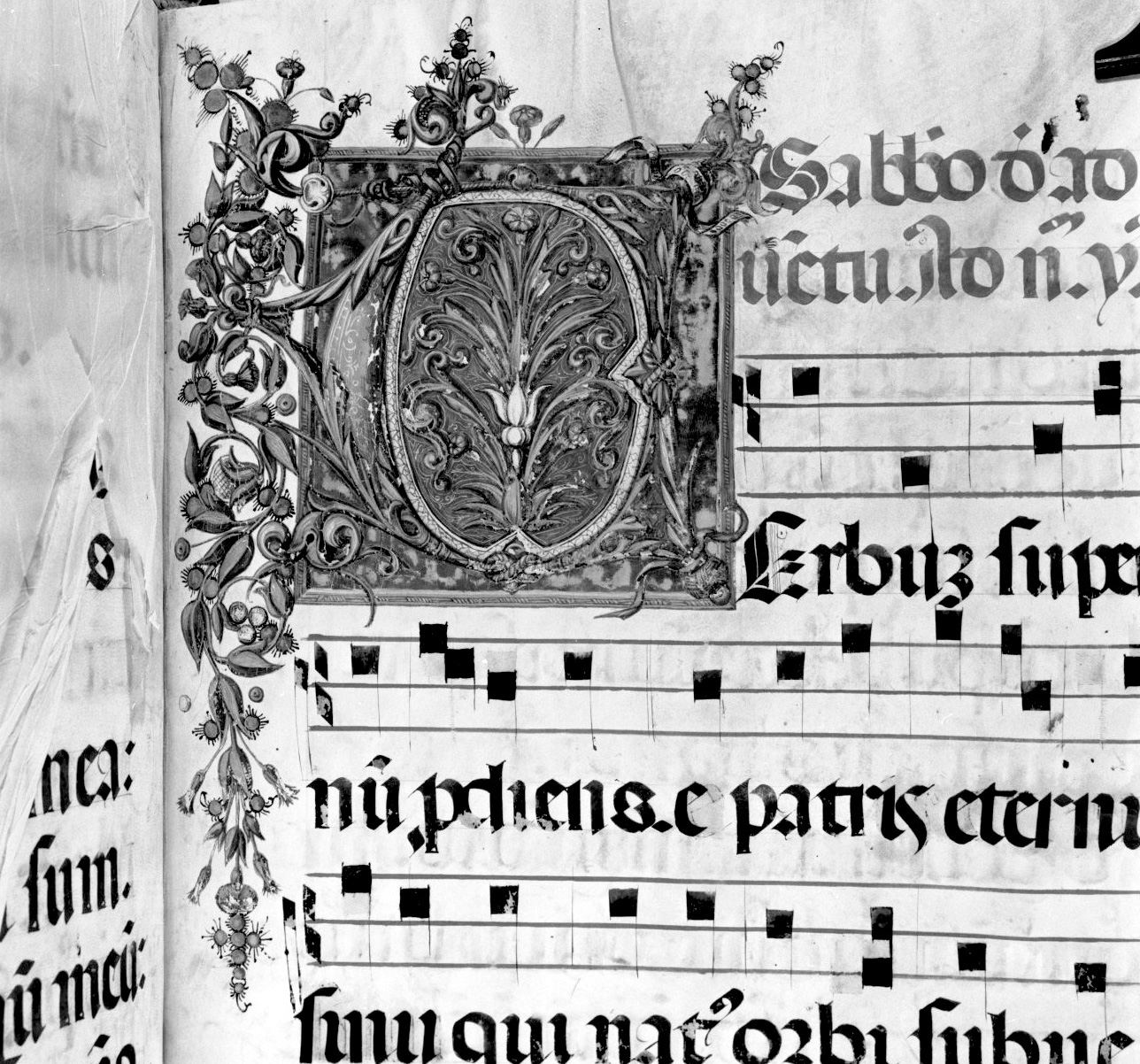 lettera vegetalizzata (miniatura, elemento d'insieme) di Matteo di Giovanni di Bartolo (attribuito) (sec. XV)