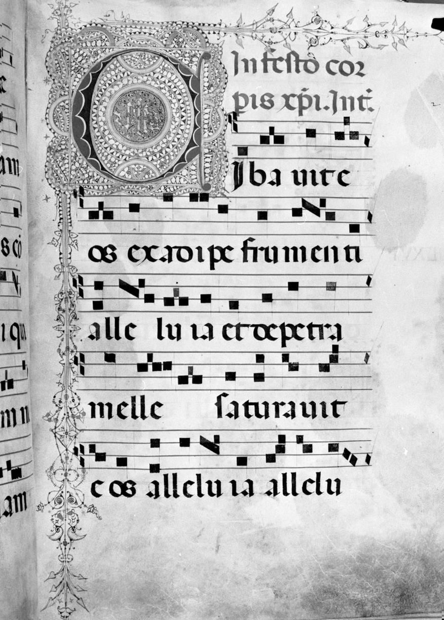lettera vegetalizzata (miniatura, elemento d'insieme) - ambito senese, ambito senese (sec. XV, sec. XV)