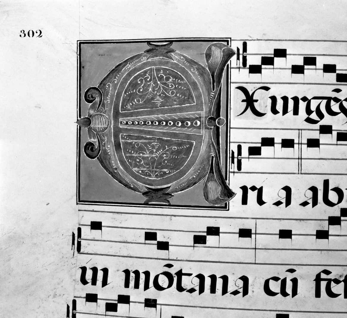 lettera vegetalizzata (miniatura, elemento d'insieme) - ambito senese (sec. XIX)