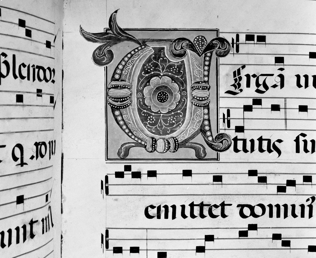 lettera vegetalizzata (miniatura, elemento d'insieme) - ambito senese (sec. XIX)