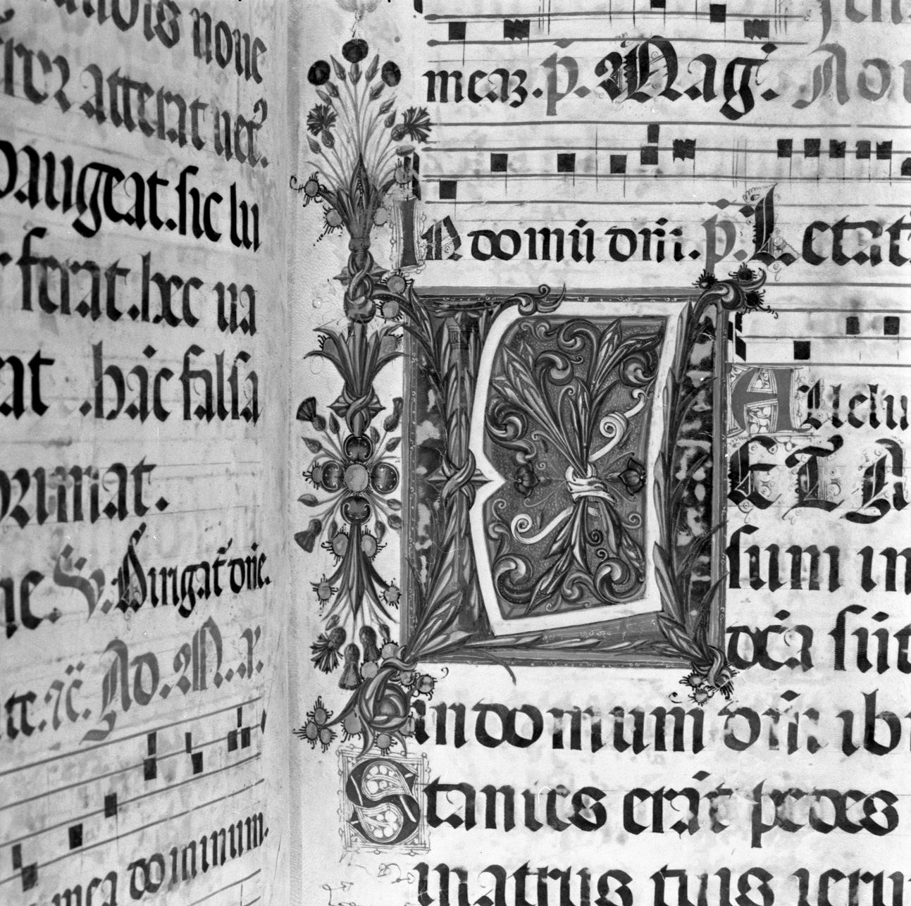 lettera vegetalizzata (miniatura, elemento d'insieme) - ambito senese, ambito senese (sec. XV, sec. XV)