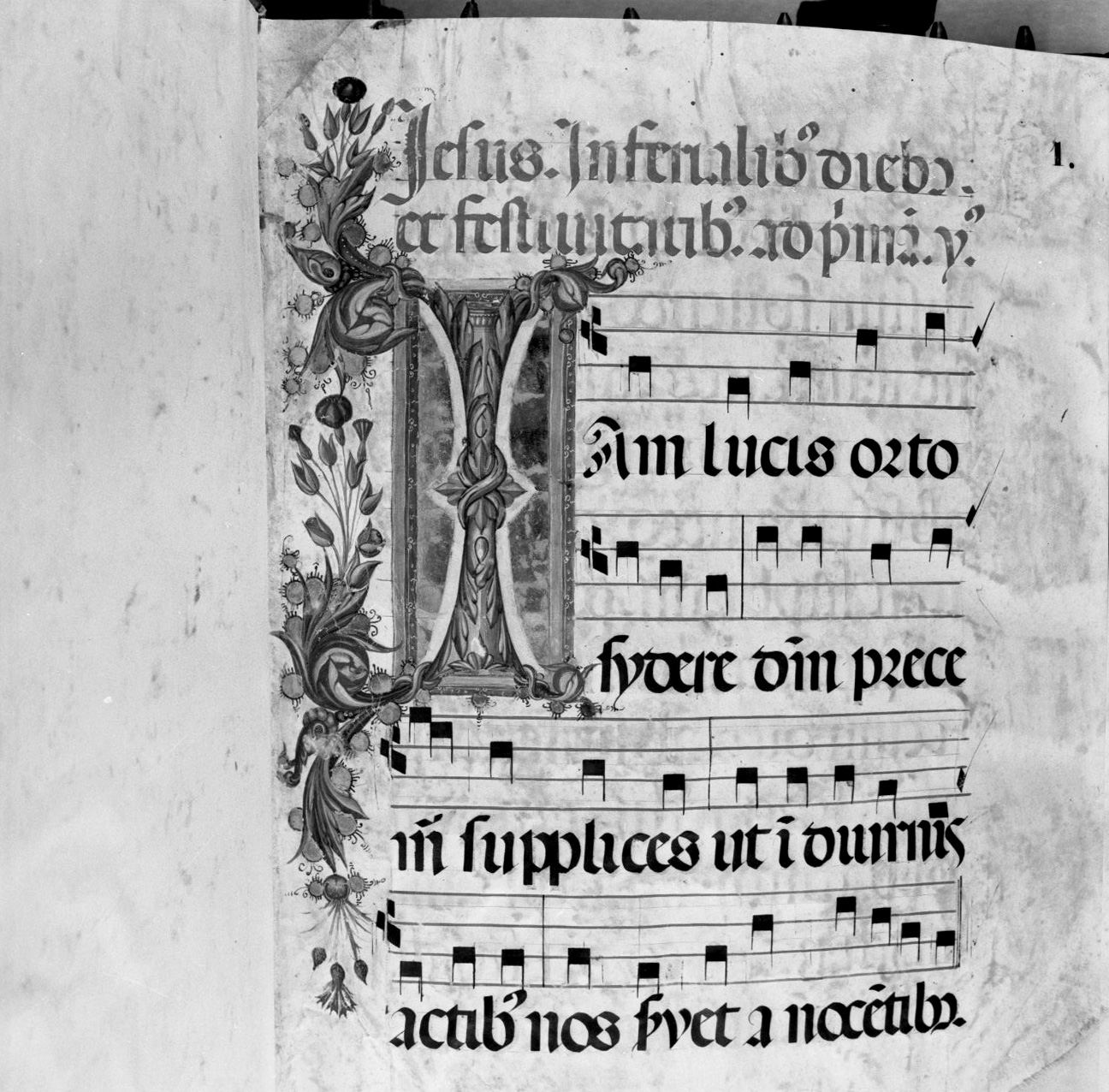 lettera vegetalizzata (miniatura, elemento d'insieme) - ambito senese, ambito senese (sec. XIX, sec. XIX)