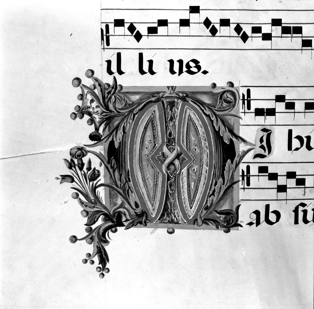 lettera vegetalizzata (miniatura, elemento d'insieme) - ambito senese, ambito senese (prima metà, prima metà sec. XIX, sec. XIX)