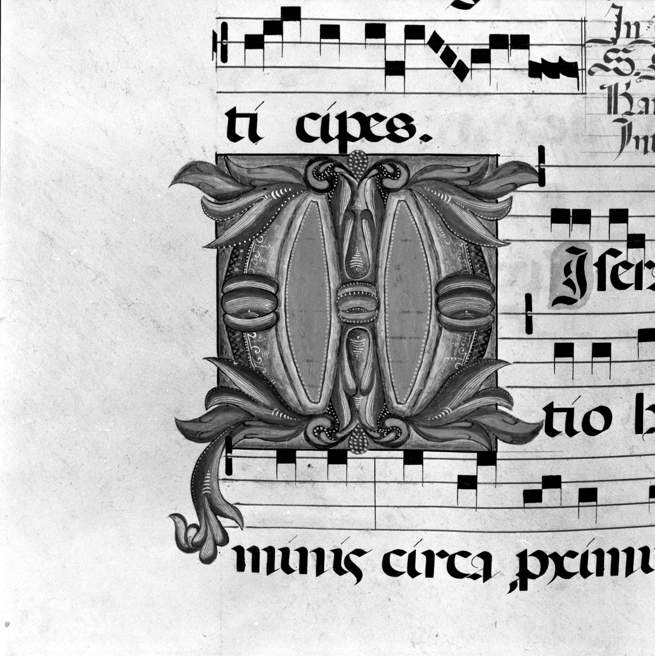 lettera vegetalizzata (miniatura, elemento d'insieme) - ambito senese, ambito senese (prima metà, prima metà sec. XIX, sec. XIX)