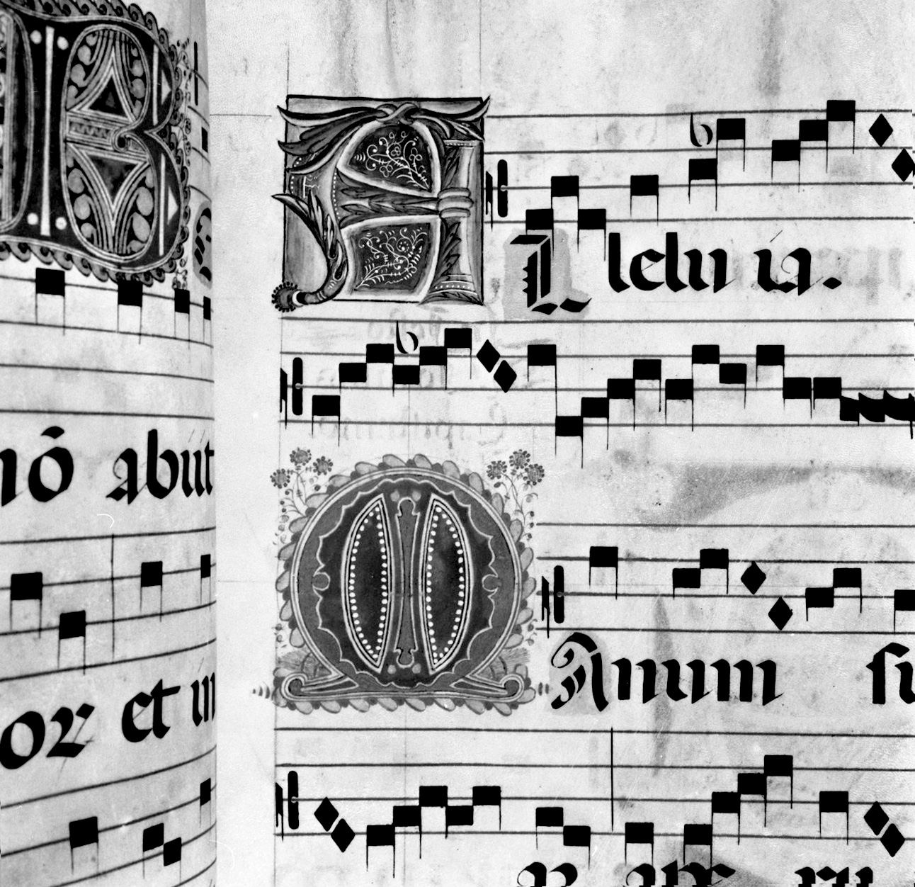 lettera vegetalizzata (miniatura, elemento d'insieme) - ambito senese, ambito senese (prima metà, prima metà sec. XIX, sec. XIX)