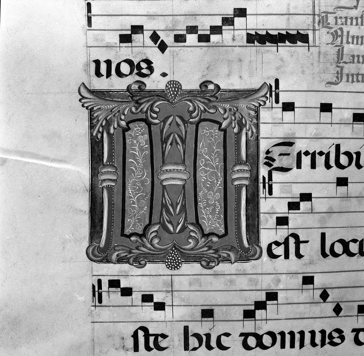 lettera vegetalizzata (miniatura, elemento d'insieme) - ambito senese, ambito senese (prima metà, prima metà sec. XIX, sec. XIX)