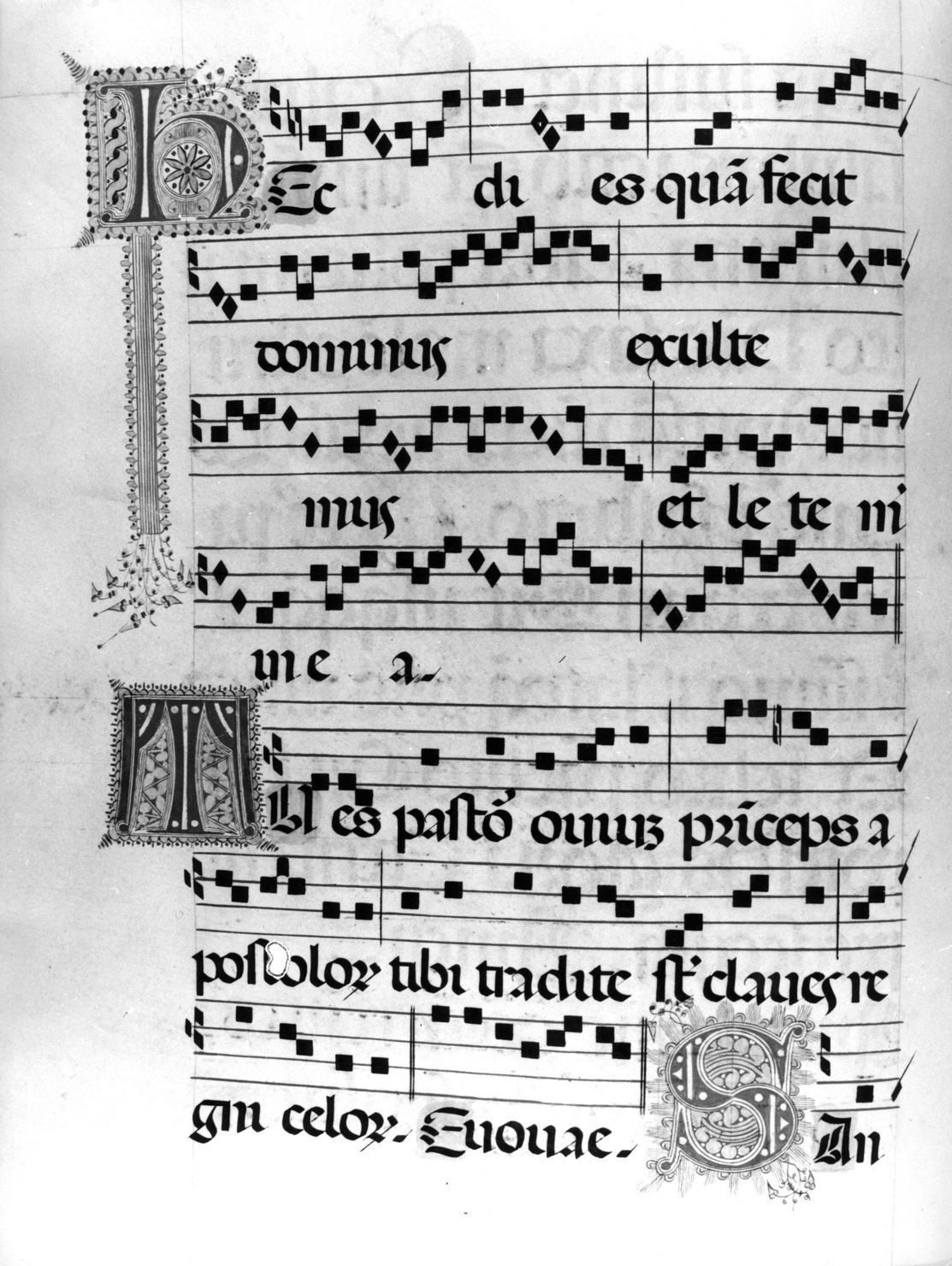 lettera vegetalizzata (miniatura) - ambito senese (sec. XVIII)