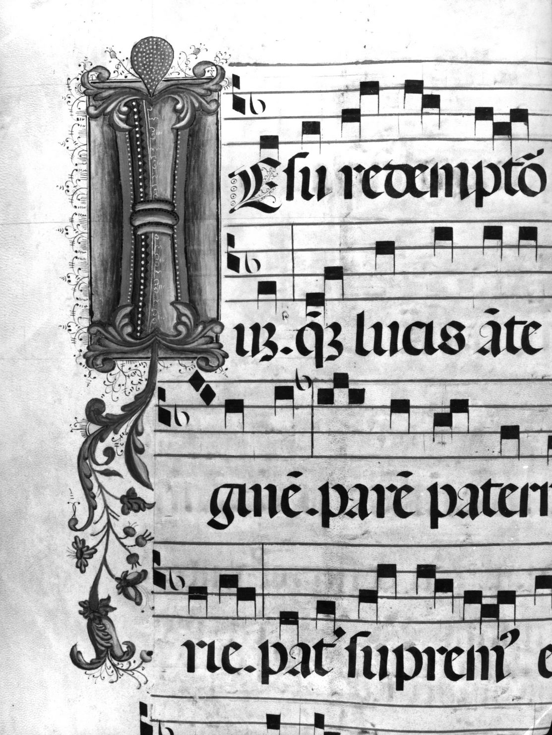 lettera vegetalizzata (miniatura) - ambito senese (sec. XVIII)